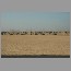 burj-dubai-october-31-06.jpg