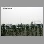 burj-construction2923.jpg
