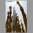 burjdubai060315.jpg