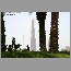 burjdubai060817.jpg