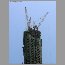 wtb-burj-2520.jpg