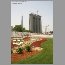 wtb-burj-2733.jpg