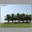 burjdubai0501.jpg