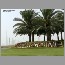 burjdubai0502.jpg