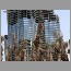 burjdubai1937.jpg