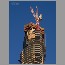burj-dubai-area2125.jpg