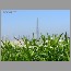 burj_dubai-skyscraper1642.jpg