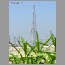 burj_dubai-skyscraper1643.jpg