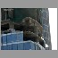 Burj_Dubai-123014.jpg