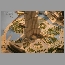 burj_dubai-model-200718.jpg