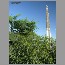 Burj_Dubai012924.jpg