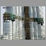Burj_Dubai013117.jpg