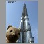 Burj and Imre's teddy bear