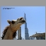 Dubai-Skyscraper-053046.jpg