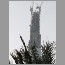 burj060502.jpg