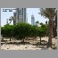burj0627106.jpg