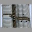 BurjJuly16093.jpg