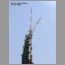 BurjJuly2107.jpg
