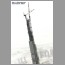 burj_dubai_1013.jpg