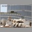 burj_dubai_1803.jpg