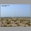 burj_dubai_2206.jpg