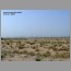 burj_dubai_2207.jpg