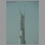 Burj_Dubai_0301.jpg