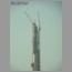 Burj_Dubai_1102.jpg