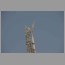 Burj-Tower-1702.jpg