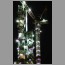 BurjDubai_1906.jpg
