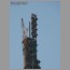 Burj0702.jpg