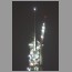 Burj1818.jpg