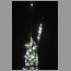Burj2301.jpg