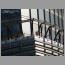 burj07119.jpg
