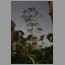 burj1303.JPG