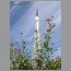 burj0552.jpg