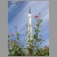 burj0553.jpg