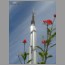 burj0554.jpg
