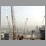 bd0808.jpg