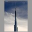 bd2501.jpg