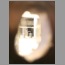 bd0506.jpg