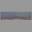 wildwadiskyline_bd.jpg