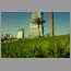 burj1501.jpg
